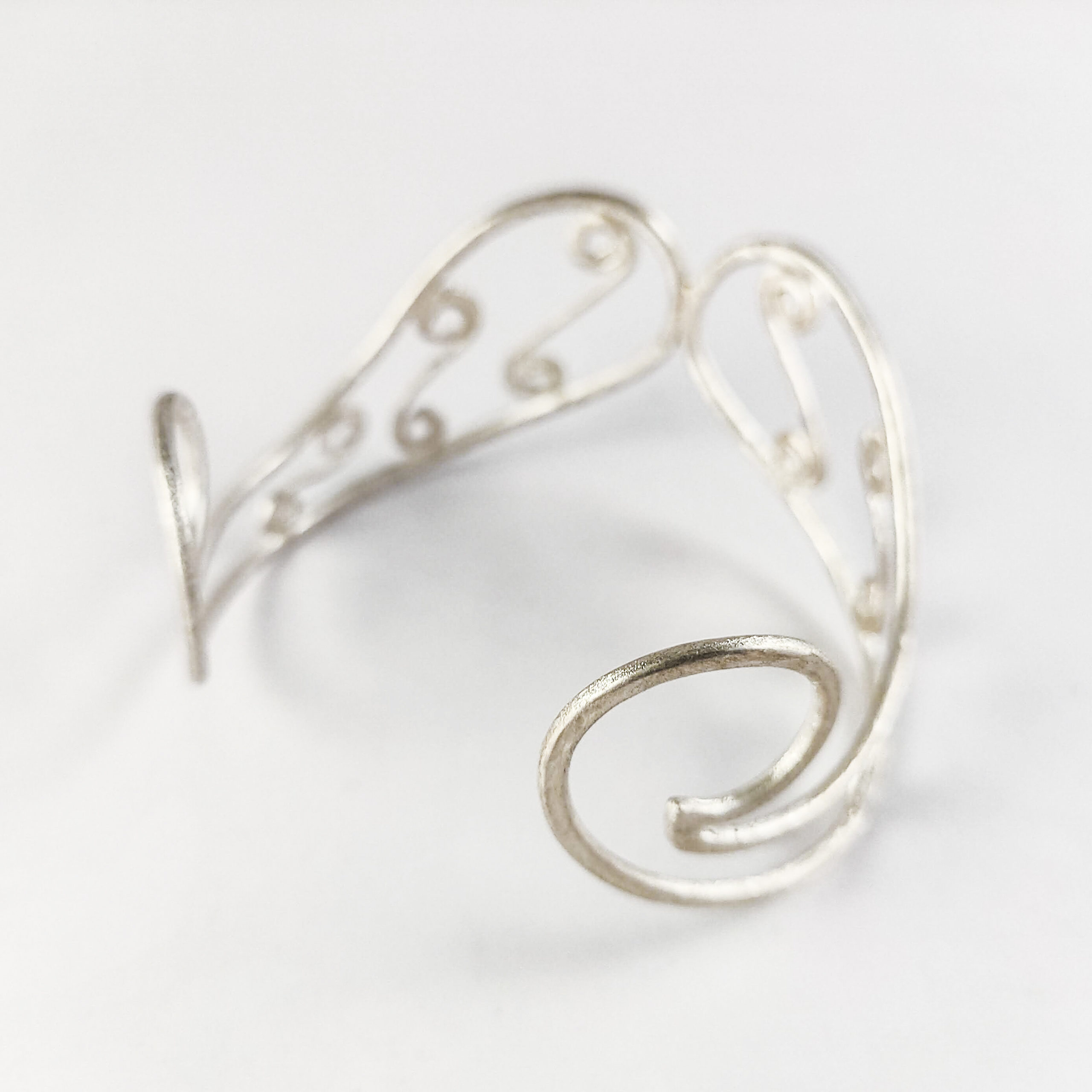 Jose Luis Verdugo 1 -